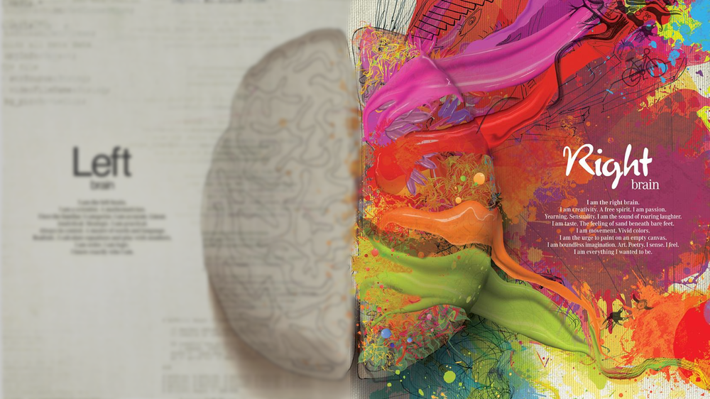 brain-right-brain.png