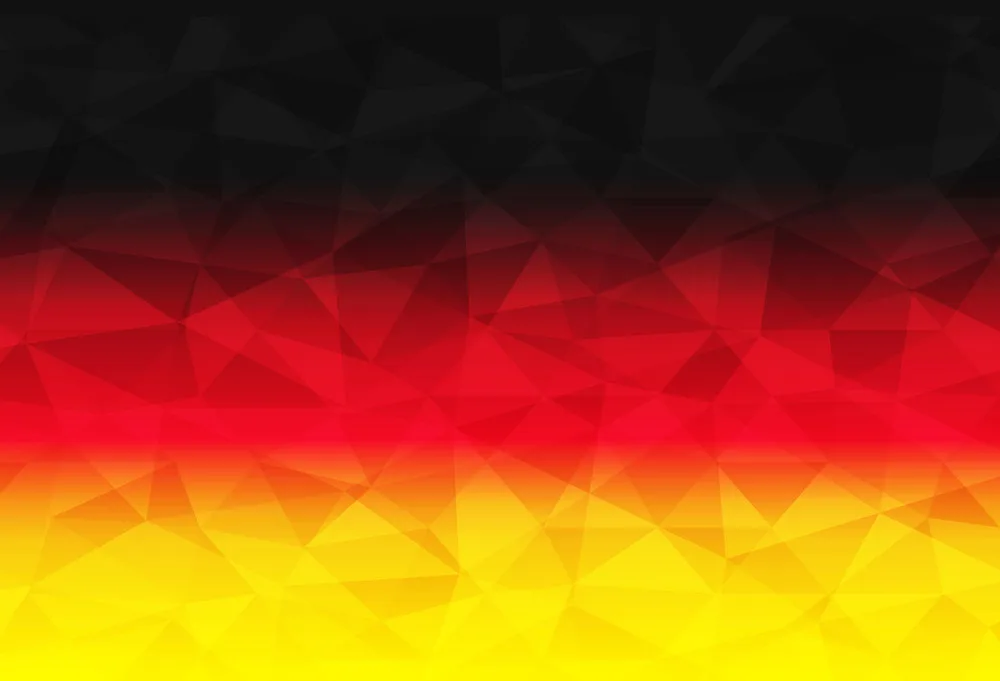 vectorflag.webp